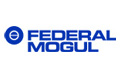 Divize Vehicle Components společnosti Federal-Mogul byla přejmenována na Federal-Mogul Motorparts